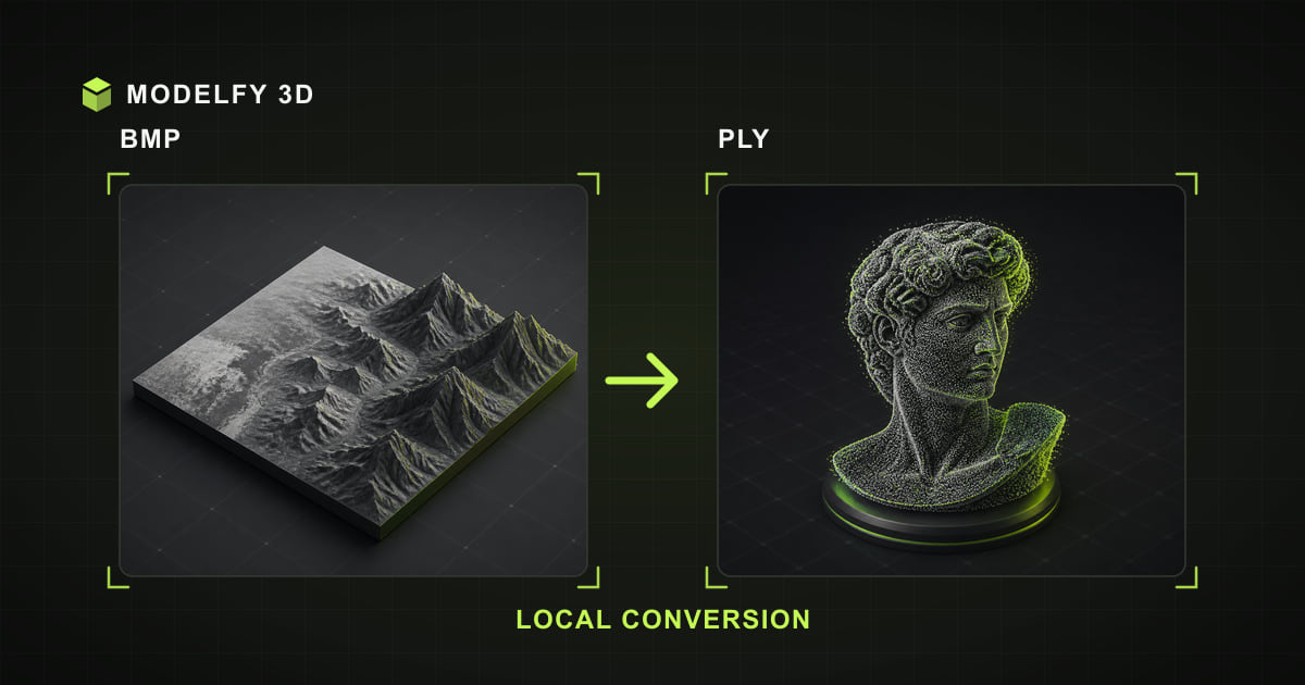 Browser-local BMP to PLY conversion illustration